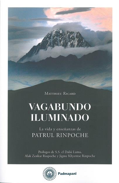 VAGABUNDO ILUMINADO | 9788494848636 | RICARD, MATTHIEU