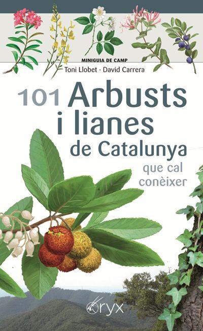 101 ARBUST I LIANES DE CATALUNYA QUE CAL CONÈIXER | 9788490349663 | LLOBET, TONI / CARRERA, DAVID