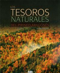 TESOROS NATURALES DEL PIRINEO ARAGONÉS, LOS | 9788482166131 | VIÑUALES COBOS, EDUARDO