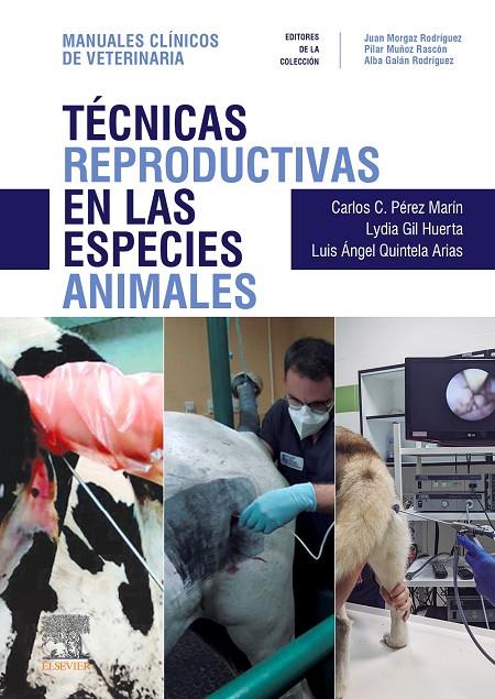 TECNICAS REPRODUCTIVAS EN LAS ESPECIES ANIMALES | 9788413823713 | PEREZ MARTIN