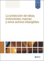 PROTECCIÓN DE IDEAS, INVENCIONES, MARCAS Y OTRO ACTIVOS INTANGIBLES, LA | 9788490907207 | REDACCION LA LEY