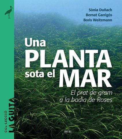 PLANTA SOTA EL MAR, UNA | 9788418096747 | DUÑACH, SÒNIA / GARRIGÓS, BERNAT / WEITZMANN, BORIS