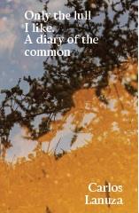 ONLY THE LULL I LIKE. A DIARY OF THE COMMON | 9788412252996 | LANUZA, CARLOS