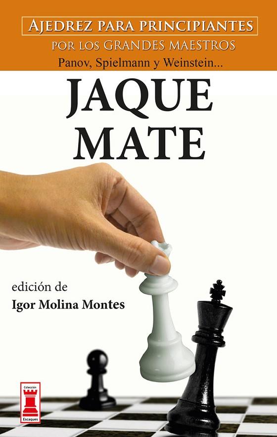 JAQUE MATE | 9788499176451 | MOLINA MONTES, IGOR