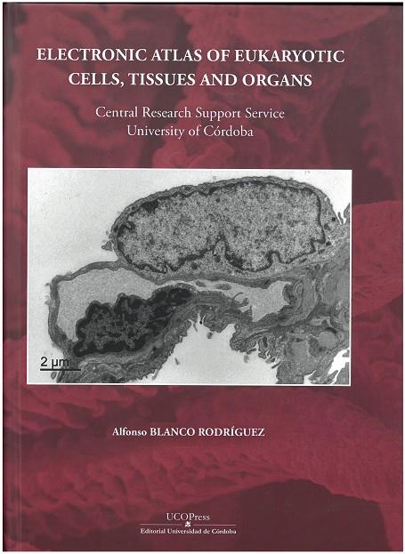 ELECTRONIC ATLAS OF EUCARYOTIC CELLS, TISUUES AND ORGANS | 9788499276168 | BLANCO RODRÍGUEZ, ALFONSO