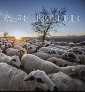PALLARS TERRA DE CORDER | 9788412080193