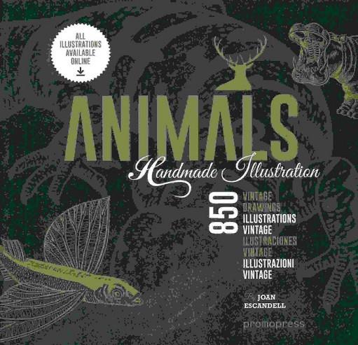 ANIMALS HANDMADE ILUSTRIATION | 9788416504190 | ESCANDELL, JOAN