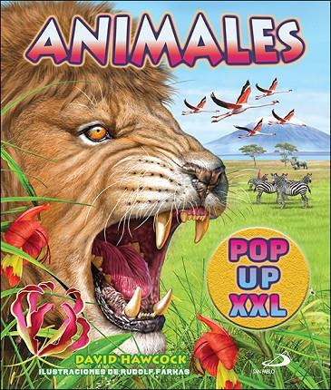 ANIMALES POP UP XXL | 9788428568791 | HAWCOCK, DAVID