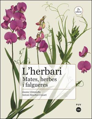 HERBARI, L' : MATES, HERBES I FALGUERES (2ª ED.) | 9788491344384 | LLISTOSELLA VIDAL, JAUME / SÀNCHEZ-CUXART, ANTONI