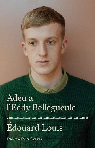 ADEU A L'EDDY BELLEGUEULE | 9788417353544 | LOUIS, ÉDOUARD