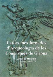 CATORZENES JORNADES D'ARQUEOLOGIA DE LES COMARQUES DE GIRONA | 9788484585190 | DIVERSOS AUTORS