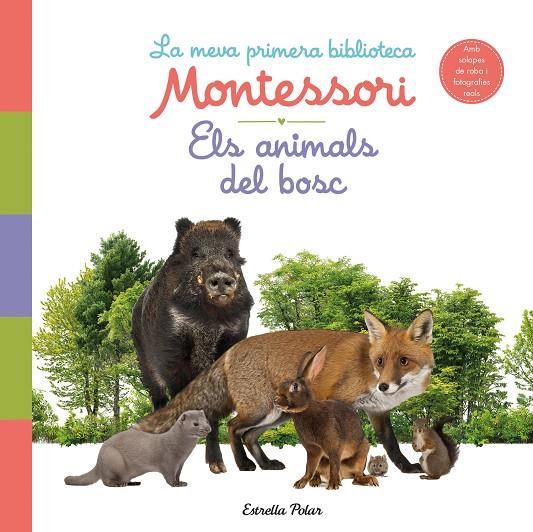 ANIMALS DEL BOSC, ELS. LA MEVA PRIMERA BIBLIOTECA MONTESSORI | 9788413890159
