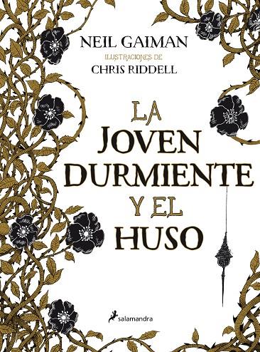 JOVEN DURMIENTE Y EL HUSO, LA | 9788498386516 | GAIMAN, NEIL / RIDDELL, CHRIS