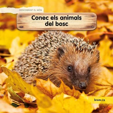 CONEC ELS ANIMALS DEL BOSC (ED. VALENCIANA) | 9788490267776 | LAMOUR-CROCHET, CÉLINE