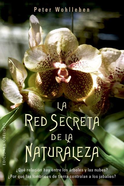 RED SECRETA DE LA NATURALEZA, LA | 9788491114192 | WOHLLEBEN, PETER