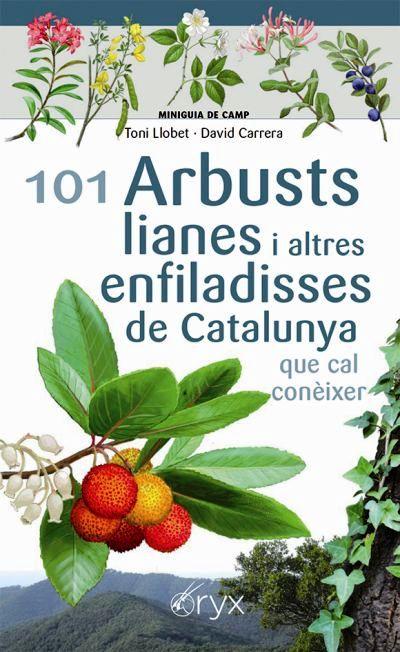101 ARBUSTS, LIANES I ALTRES ENFILADISSES DE CATALUNYA | 9788413560397 | LLOBET FRANÇOIS, TONI / CARRERA BONET, DAVID