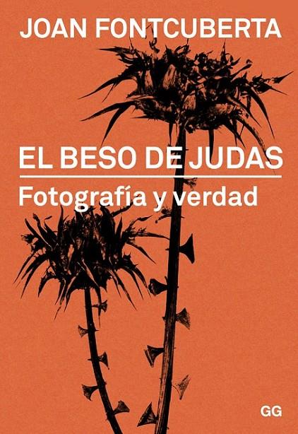 BESO DE JUDAS, EL | 9788425228322 | FONTCUBERTA, JOAN