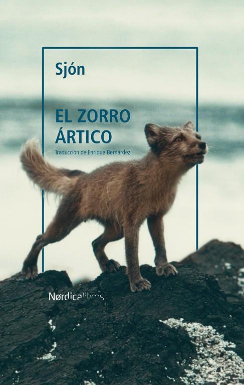 ZORRO ÁRTICO, EL | 9788418451799 | SJON