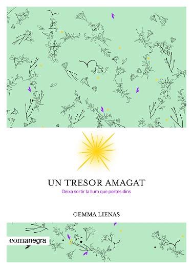 TRESOR AMAGAT, UN | 9788416605347 | LIENAS, GEMMA