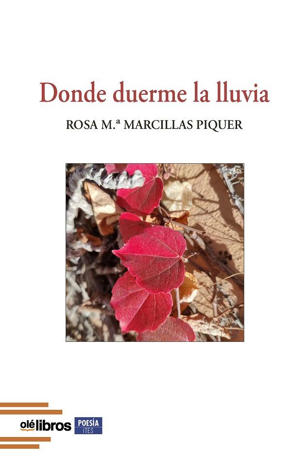 DONDE DUERME LA LLUVIA | 9788410053144 | MARCILLAS PIQUER, ROSA M.