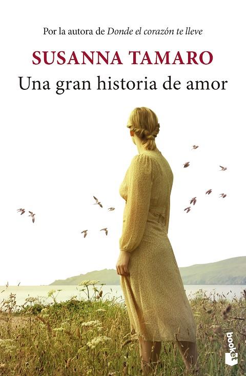 GRAN HISTORIA DE AMOR, UNA | 9788432242618 | TAMARO, SUSANNA
