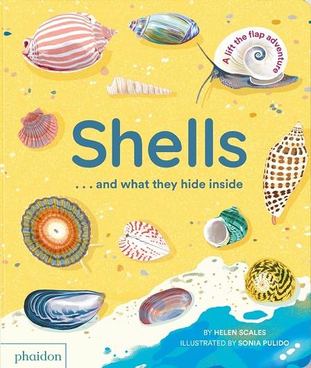 SHELLS?AND WHAT THEY HIDE INSIDE | 9781838667887 | PULIDO, SONIA / SCALES, HELEN