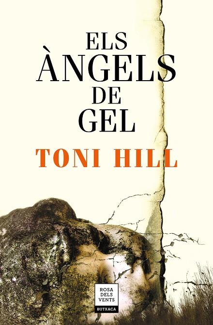 ANGELS DE GEL, ELS | 9788417444679 | HILL, TONI