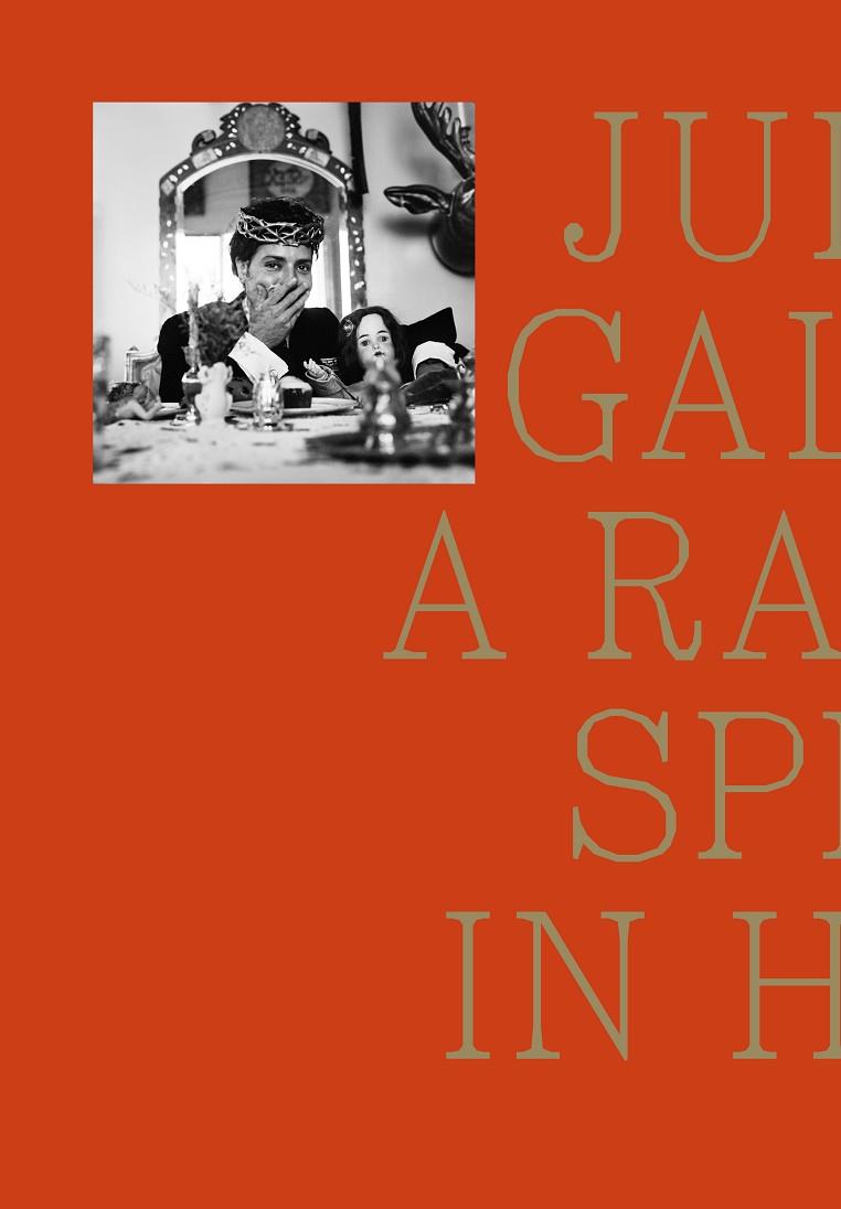 JULIO GALAN. A RABBIT SPLIT IN HALF | 9788419233578 | GALÁN, JULIO