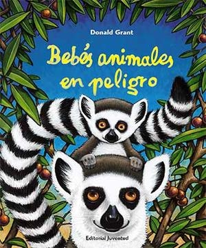 BEBÉS ANIMALES EN PELIGRO | 9788426137791 | GRANT, DONALD