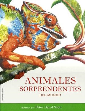 ANIMALES SORPRENDENTES DEL MUNDO | 9788426138705 | SCOTT, PETER DAVID