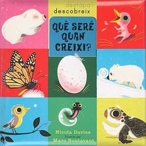 QUÈ SERÉ QUAN CREIXI? | 9788426139085 | DAVIES, NICOLA / BOUTAVANT, MARC