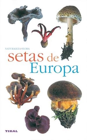 SETAS DE ESPAÑA Y EUROPA | 9788430553358 | TIKAL