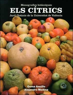 CÍTRICS, ELS | 9788437096339 | ANCILLO ANTÓN, GEMA / MEDINA SÁNCHEZ-VALLADARES, ALEJANDRO