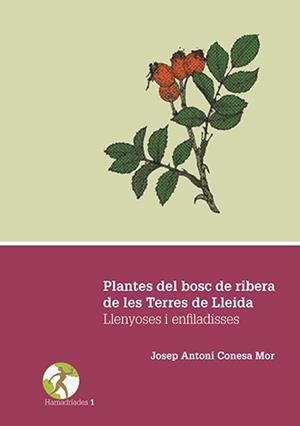 PLANTES DEL BOSC DE RIBERA DE LES TERRES DE LLEIDA. LLENYOSES I ENFILADISSES | 9788491440024 | CONESA MOR, JOSEP ANTONI