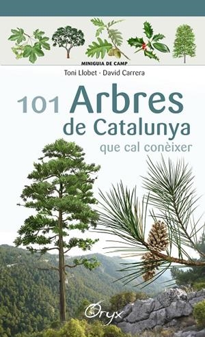 100 ARBRES DE CATALUNYA QUE CAL CONEIXER | 9788490346778 | LLOBET, TONI / CARRERA, DAVID