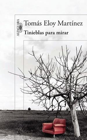 TINIEBLAS PARA MIRAR | 9788420418001 | MARTÍNEZ, TOMÁS ELOY