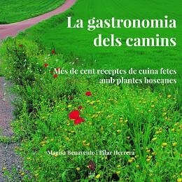 GASTRONOMIA DELS CAMINS, LA | 9788494504174 | BENAVENTE, MARISA / HERRERA, PILAR