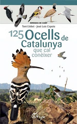 125 OCELLS DE CATALUNYA QUE CAL CONEIXER | 9788490346747 | LLOBET, TONI / COPETE, JOSÉ LUIS