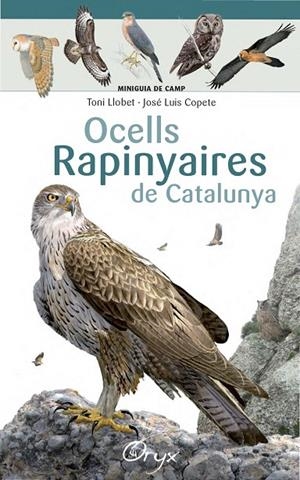 OCELLS RAPINYAIRES DE CATALUNYA | 9788490346785 | LLOBET, TONI / COPETE, JOSÉ LUIS