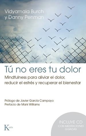 TÚ NO ERES TU DOLOR (+CD) | 9788499884912 | BURCH, VIDYAMALA / PENMAN, DANNY