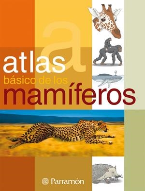 ATLAS BÁSICO DE LOS MAMIFEROS | 9788434229532 | JULIVERT ZAMARREÑO, ÀNGELS