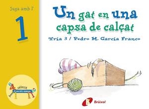 GAT EN UNA CAPSA DE CALÇAT, UN | 9788483041529 | GARCÍA FRANCO, PEDRO MARÍA