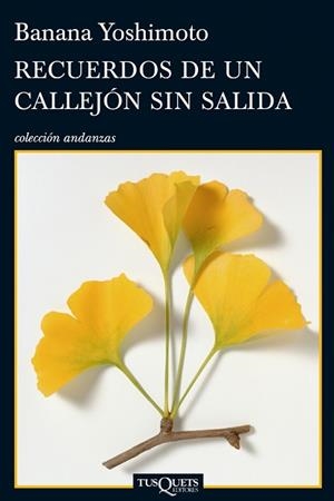 RECUERDOS DE UN CALLEJON SIN SALIDA | 9788483833360 | YOSHIMOTO, BORIS