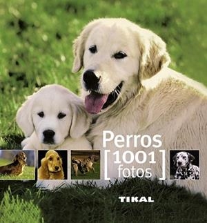 PERROS | 9788499280851 | HUART, FRANÇOISE / ROY, SÉGOLÈNE