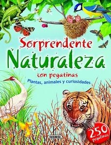 SORPRENDENTE NATURALEZA CON PEGATINAS | 9788467708349 | CANCIO, ELOÍSA/SOCOLOVSKY, GISELA/GREZ, MARCELA