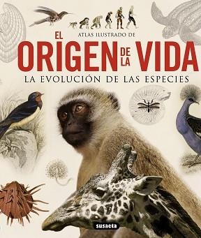 ATLAS ILUSTRADO DE ORIGEN DE LA VIDA, LA EVOLUC   IÓN DE LAS ESPECIES | 9788467713336 | MASSA, RENATO