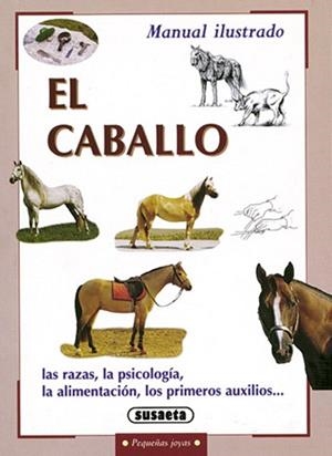 CABALLO, EL | 9788430597437 | ZORZAN, CINZIA
