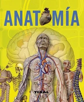 ANATOMÍA | 9788499280011 | RIGUTTI, ADRIANA