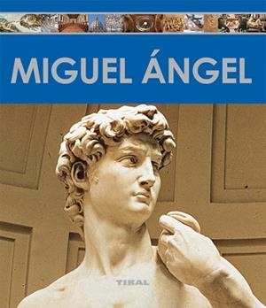 MIGUEL ÁNGEL | 9788499284507 | ARNAU GUBERN, ELISA
