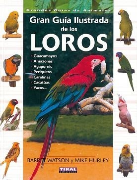 GUÍA ILUSTRADA DE LOS LOROS | 9788430536900 | WATSON, BARRET/HURLEY, MIKE